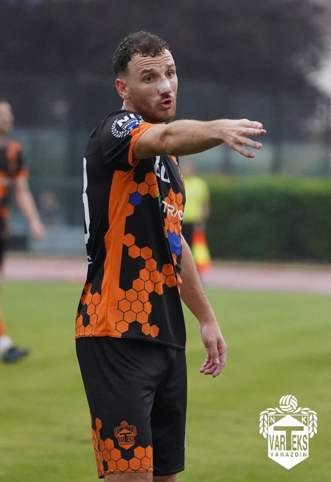 Varteks Drava 31